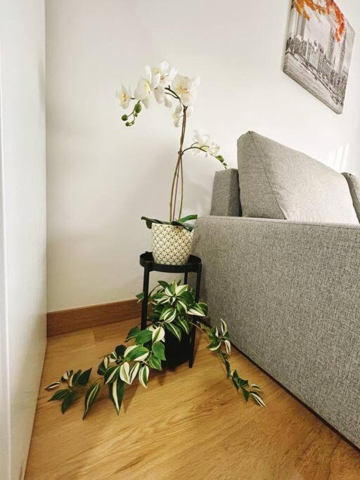 Apartment In The Heart Of Malaga Exterior photo